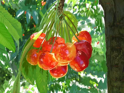 Cherries 🍒 fruit my art study