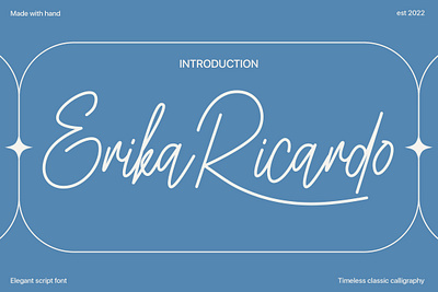 Erika Ricardi branding design font font design graphic design illustration logo typeface typography ui