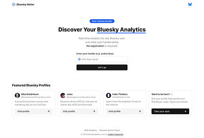 BlueskyMeter.com analytics landing page saas website design