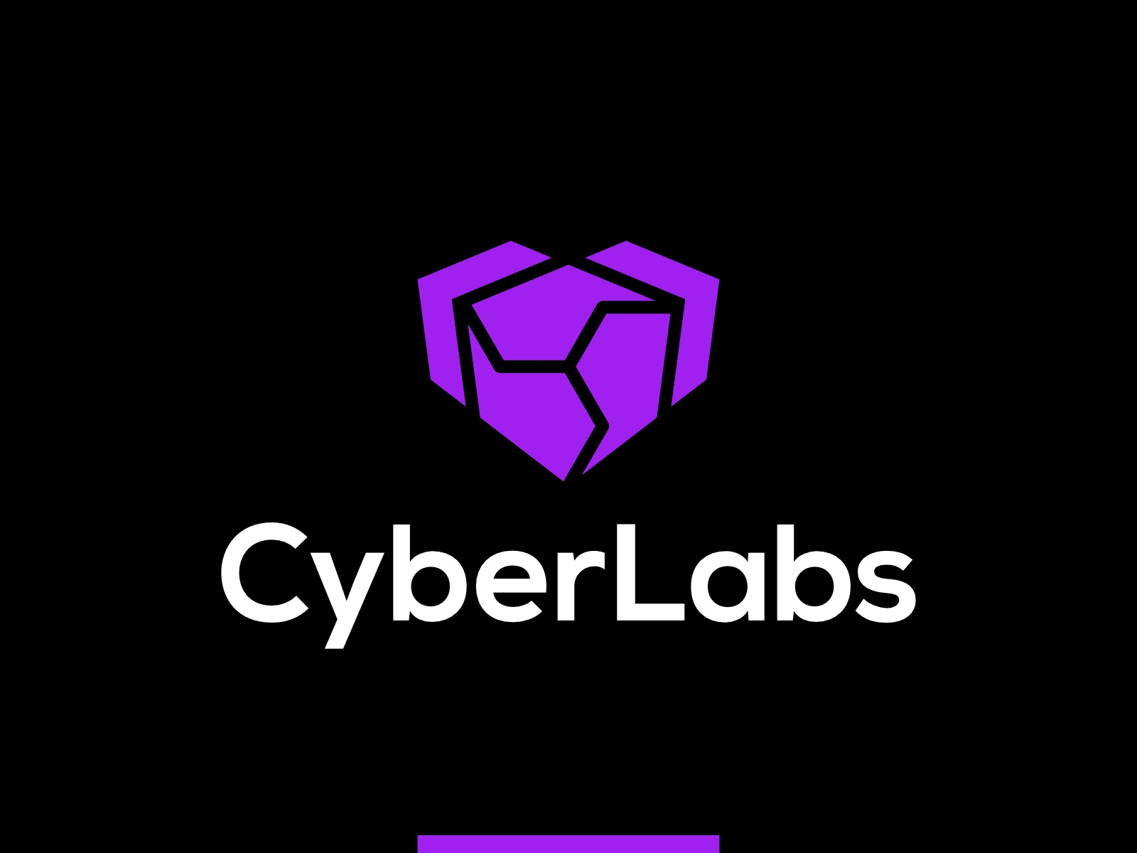 CyberLabs: software, hardware, IT services provider logo design by Alex ...