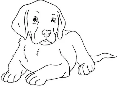 Puppy Coloring Pages