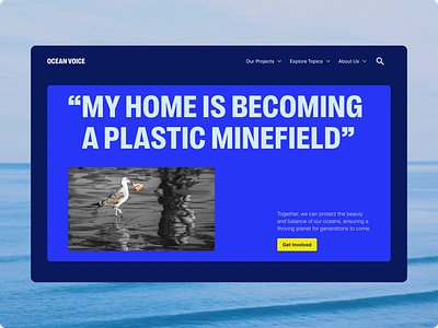 Ocean Voice - Nonprofit Website Concept branding color concept design experiment experimental innovative landingpage nonprofit storytelling typography ui web design website