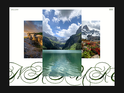 Website for photographer / presentation inspiration interaction nature site typography ui user interface ux web web design website