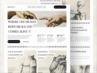 BIOREVIVA - Biotech Newsletter anatomy biology biotech classic drawing fantasy muscle newsletter science sketch ui ux writing