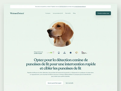 WatsonDetect / Website business canine detection design devlopment figma framer no code prototype seo ui ux website wireframe