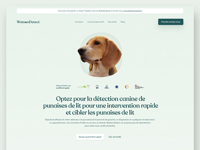 WatsonDetect / Website business canine detection design devlopment figma framer no code prototype seo ui ux website wireframe