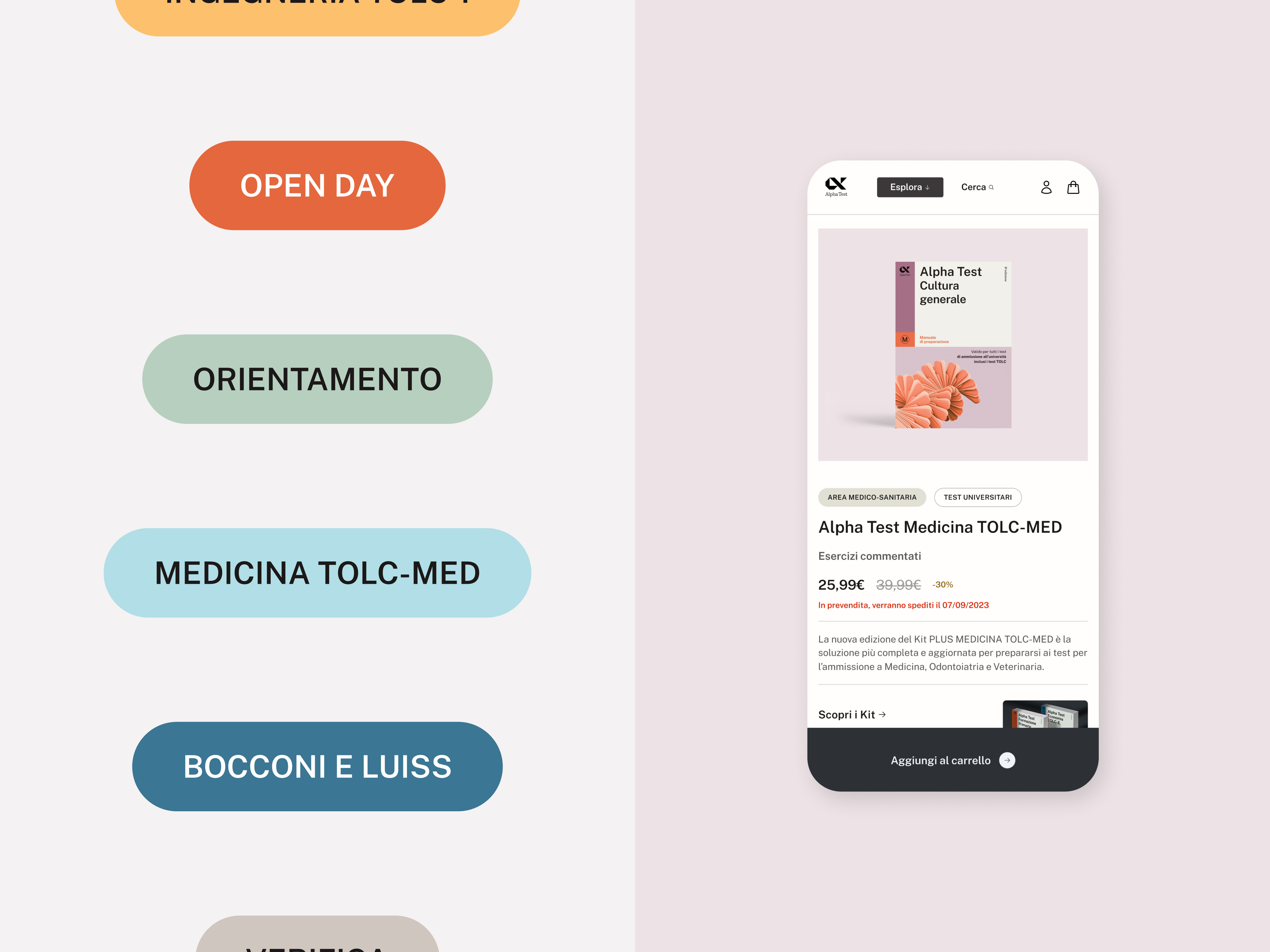 Alpha Test e-Commerce branding ui