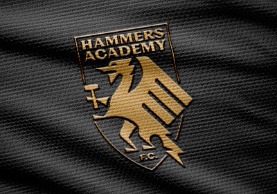 Hammers Academy F.C. | Futbol Crest branding club crest dragon futbol graphic design hammers identity jerseys logo welsh