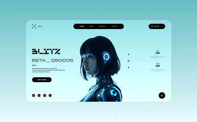 Blitz Web Design ui design web design