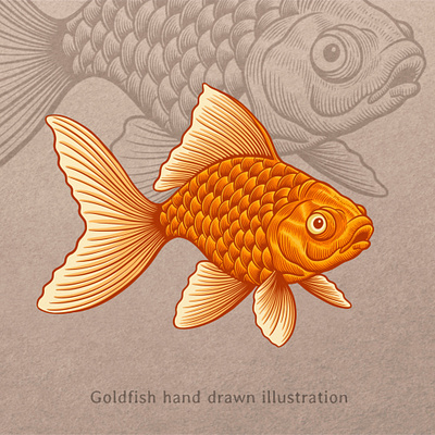 Goldfish illustration animal branding design drawing fish fishing goldfish hand drawn illustration key visual logo logotype mascot pet retro vector vector art vector illustration vintage