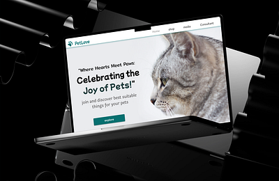 Web design for pet lovers branding graphic design ui ux design web design