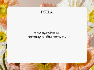 Pčela branding flower shop flowers graphic design identity logo logotype айдентика брендинг логотип фирменный стиль цветочный магазин цветы