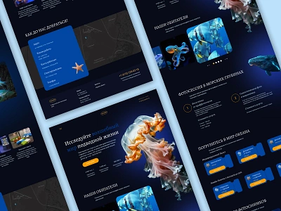 Website for the aquarium design typography