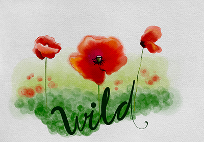 Watercolor poppies calligraphy flowers green illustration red