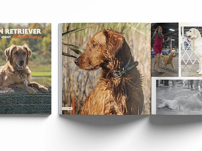 Golden Retriever Photography Book book book design dogs graphic design photography print