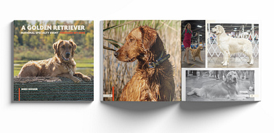 Golden Retriever Photography Book book book design dogs graphic design photography print