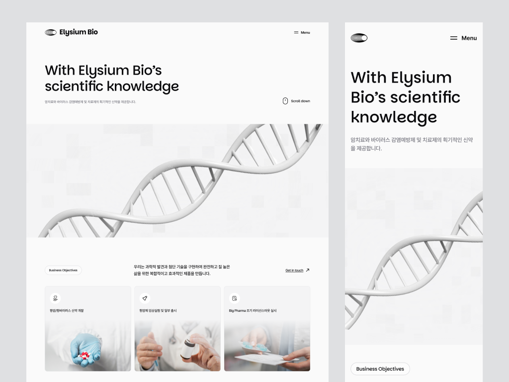 Example of Website Design Solution