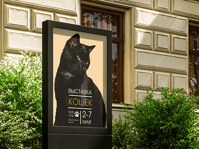 Cat Show design graphic design magazine typography