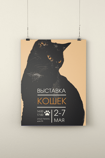 Cat Show design graphic design magazine typography