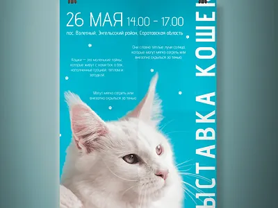 Cat Show design graphic design magazine typography