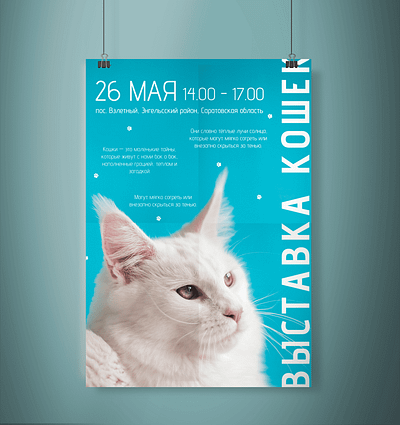 Cat Show design graphic design magazine typography