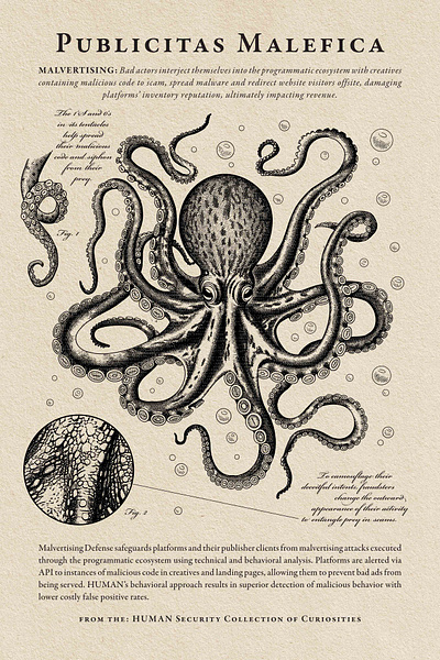 Octopus Poster - Human Security 1/8 black and white illustration engraving illustration illustration octopus illustration octopus scientific illustration pen and ink octopus illustration poster design poster illustration scientific illustration vintage illustration