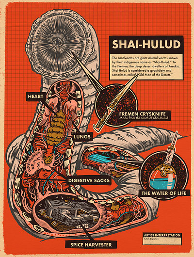 SHAI-HULUD anatomy drawing dune illustration layout monsters procreate sandworm texture vintage