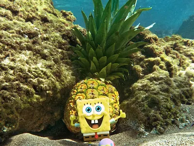 New home! spongebob squarepants toyphotography