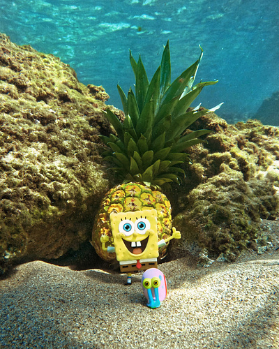 New home! spongebob squarepants toyphotography