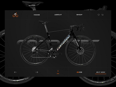 Bicycle Store Website Design web design