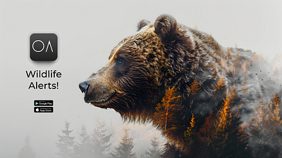 Wildlife Alerts! - Outdoor Aficionados animal branding app design bear black bear branding brown bear double exposure gps grizzly bear hiking app moodboard nature app navigation app polar bear product design satellite navigation ui design ux design wild animals wildlife alert