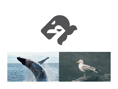 whale seagull ready-made logo for sale 3d anhdodes animation branding design graphic design illustration logo logo design logo designer logodesign minimalist logo minimalist logo design motion graphics ui