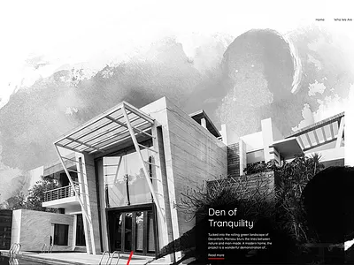 web design branding design graphics illustration ui