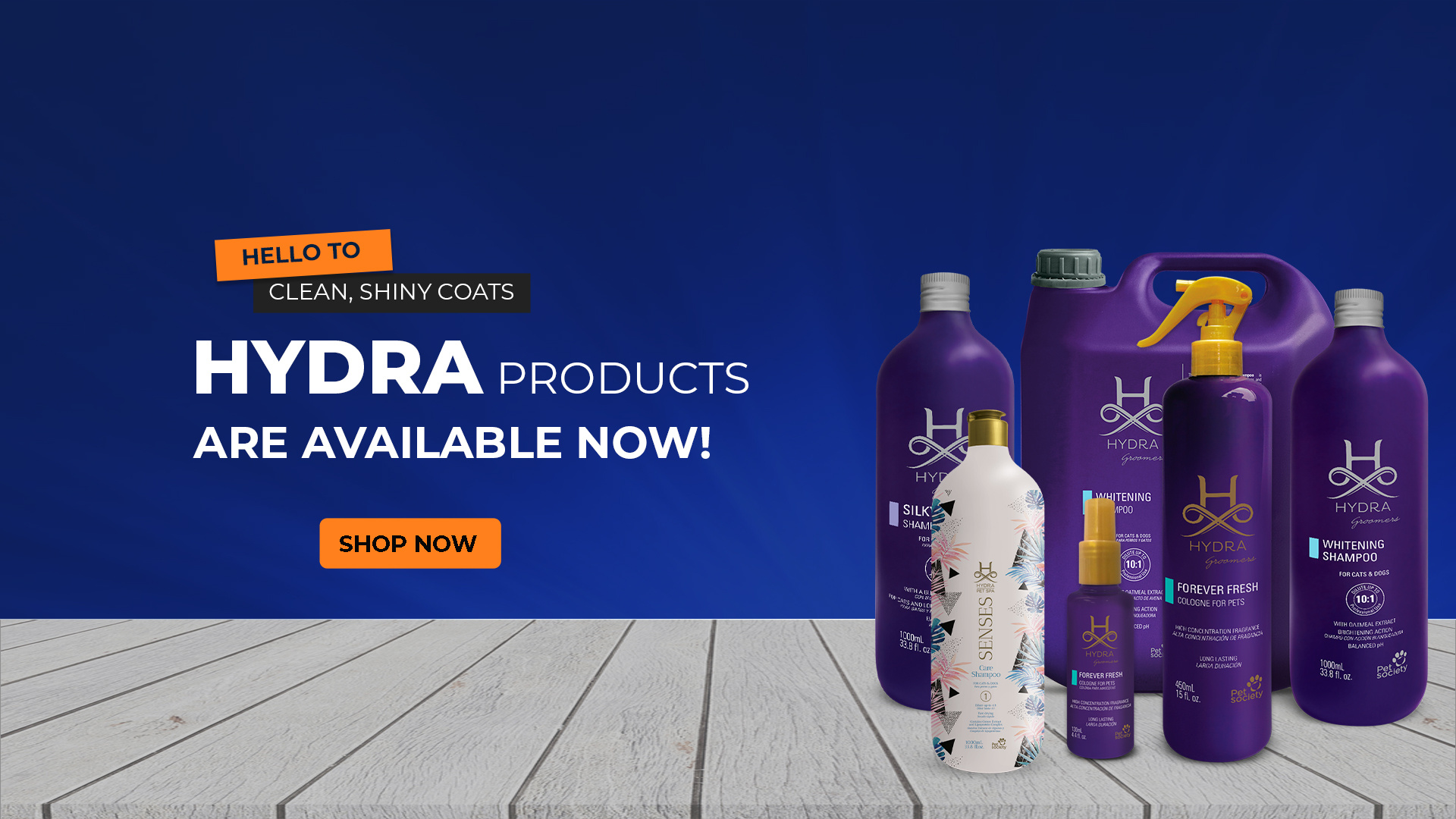 Example of Website Banners   Flyers   Posters