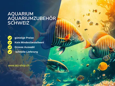 ATZ-Shop Schweiz backlinks schweiz design canva seo