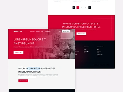 Fresh modules for Qestit branding graphic design ui ux webdesign website