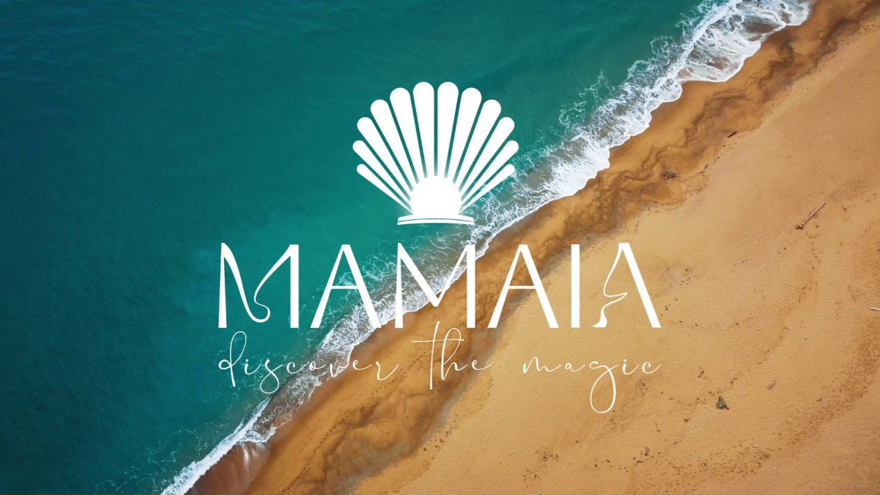 Example of Custom Logo Design