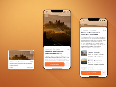 Travel Guides | Mobile application app guide ios mobile travel ui ux