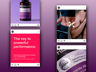 Creatinology - Fitness Design Website branding creatinology creative creativity cure design fitness graphic design gym landing page logo logodesign logomark logotype modern poster power ui ui design web design