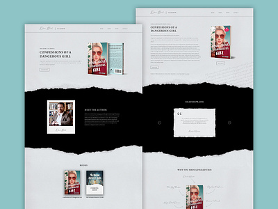 Dan Birk Website author book books design ui ui design web design webdesign webflow website