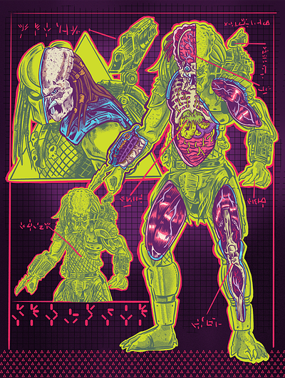 PREDATOR 80s movies anatomy cross section drawing horror illustration portrait procreate the predator