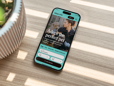Adopt A Pet Website desktop illustration interface design mobile motion product design research responsive ui ux visual design