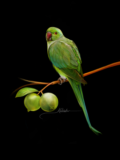 Indian Parrot - Digital Art art digital digital art graphic design illustration indian parrot painting parrot