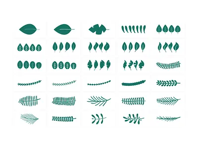 30 plant vectors design illustration illustrator svg vector