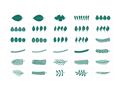 30 plant vectors design illustration illustrator svg vector