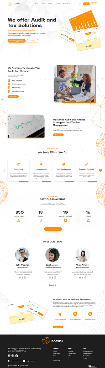 Taxaudit, Landing Page