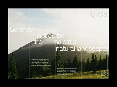 ⬤ Hero Section — 198 case study concept daily eddesignme el salvador forest hero web interaction real estate serenity userexperience web design