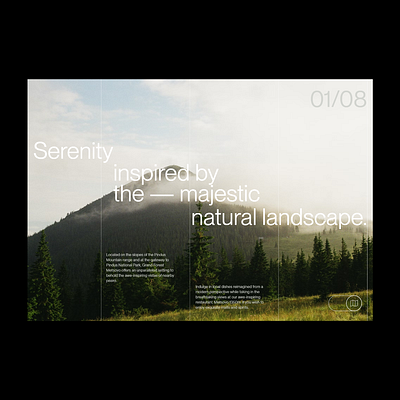 ⬤ Hero Section — 198 case study concept daily eddesignme el salvador forest hero web interaction real estate serenity userexperience web design