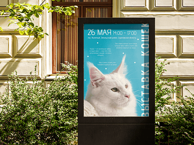 Cat Show design figma graphic design magazine typography