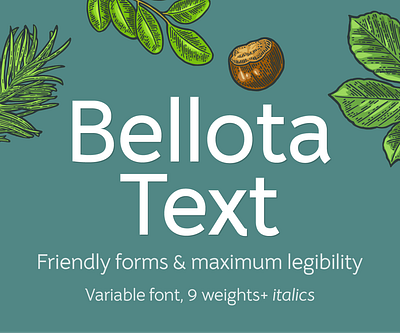 Bellota Text font family v5 sans sans serif type type design typedesign typography variable font variable fonts